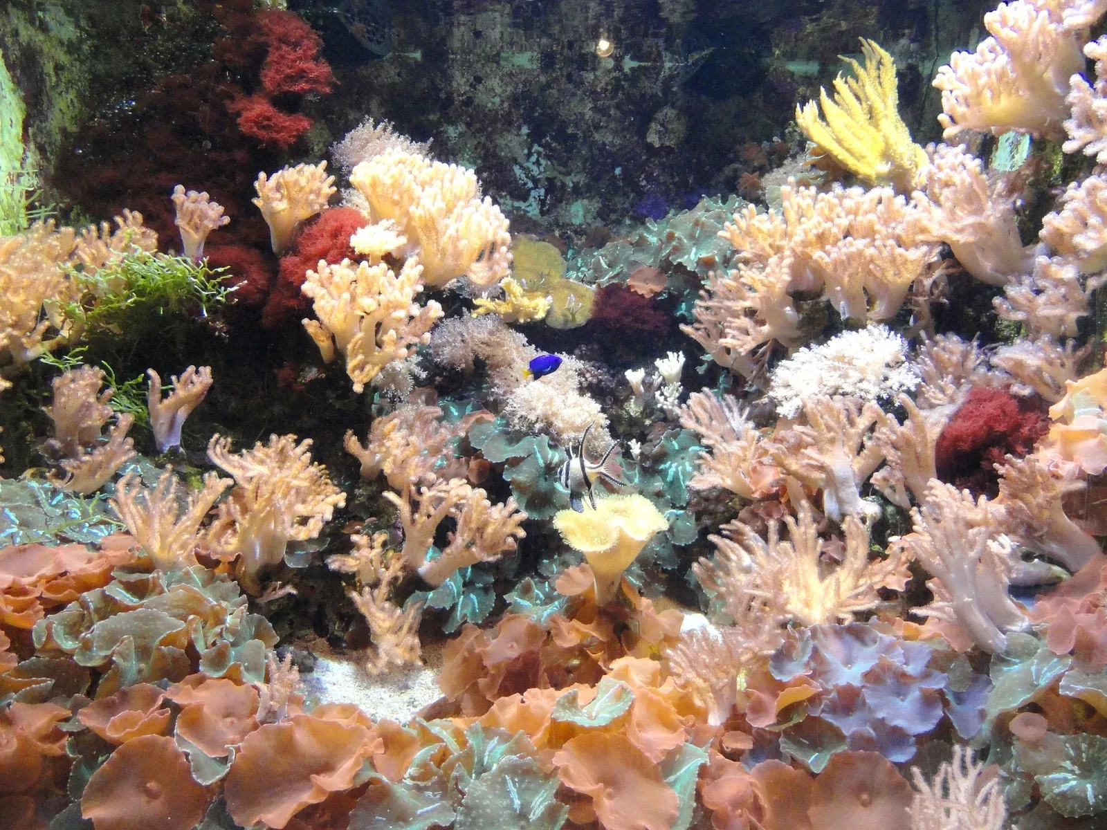 Museo de Ciencias de Springfield