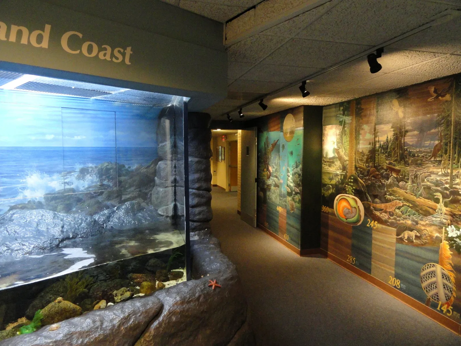 Springfield Science Museum