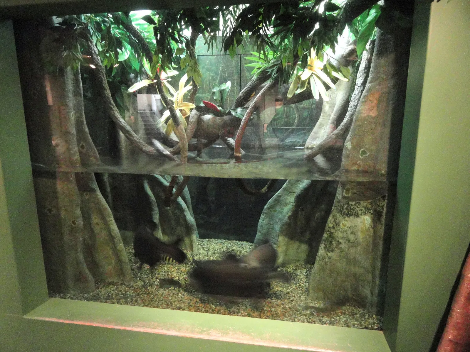 Museo de Ciencias de Springfield