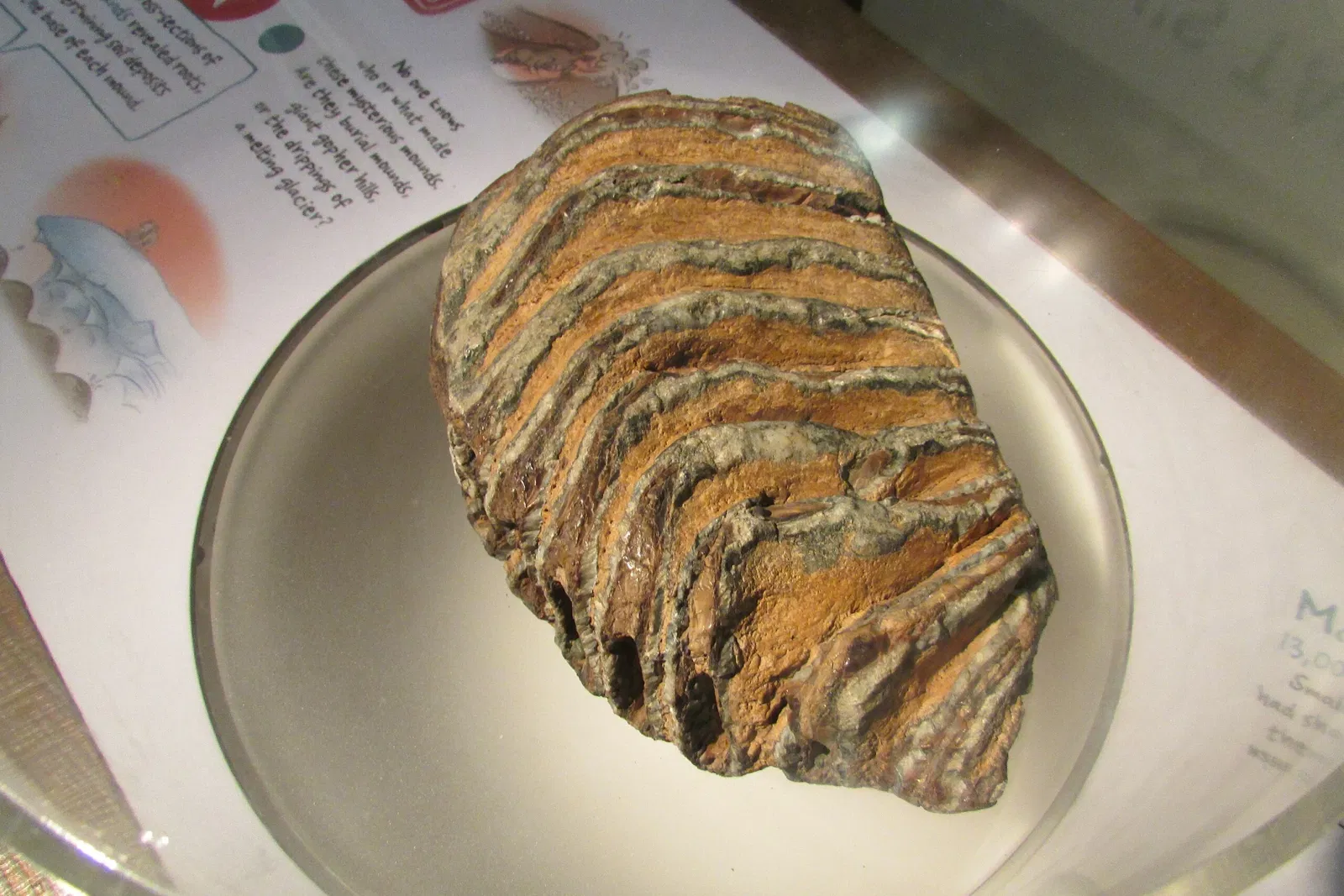 Washington State History Museum