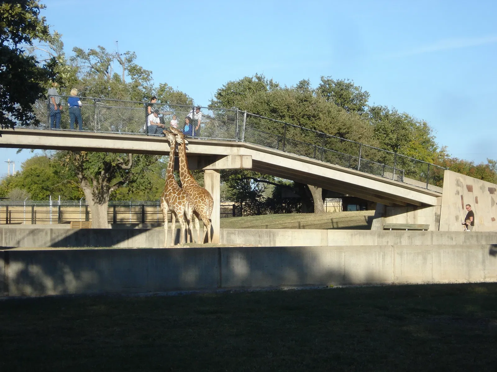 The Abilene Zoo