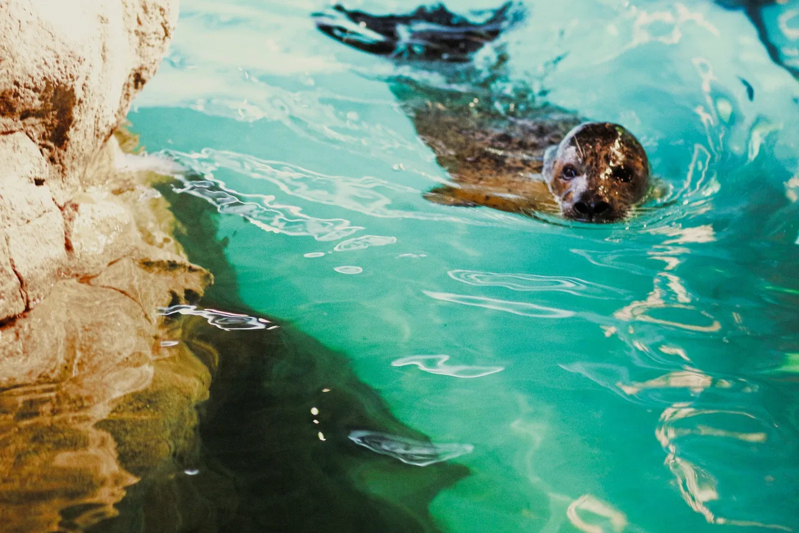 The Maritime Aquarium at Norwalk