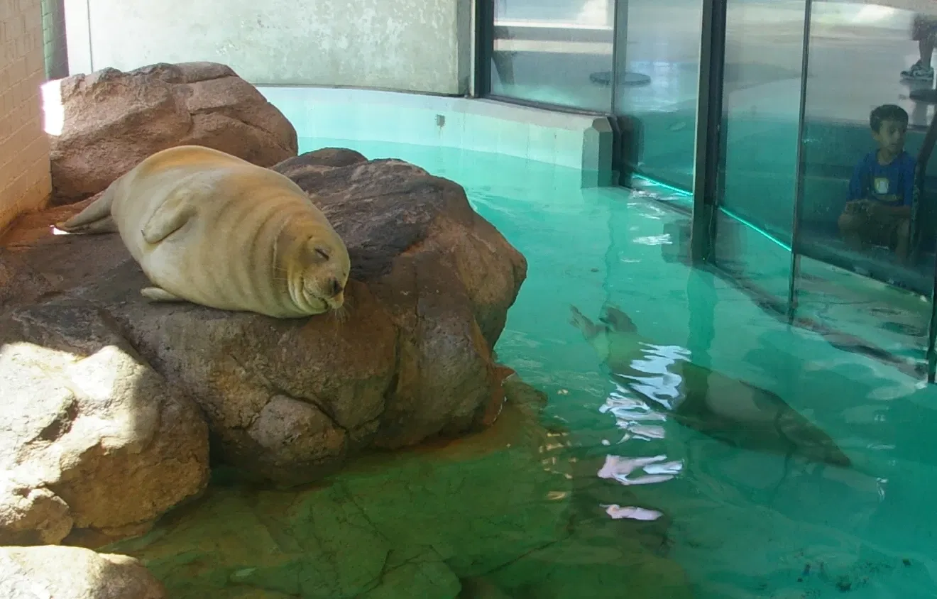 The Maritime Aquarium at Norwalk