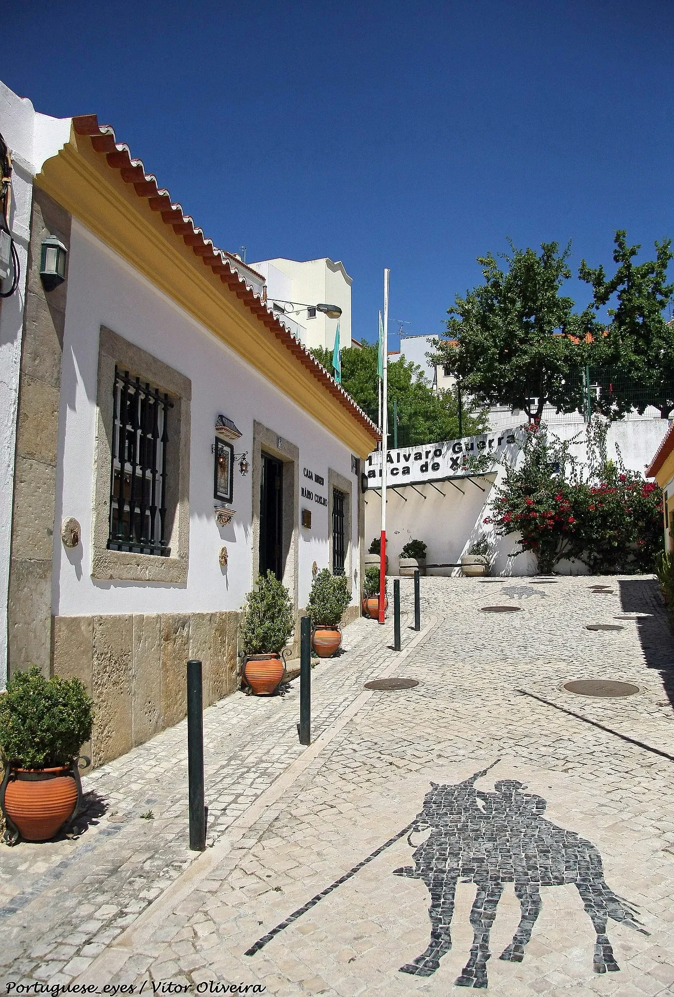 Casa Museu Mário Coelho