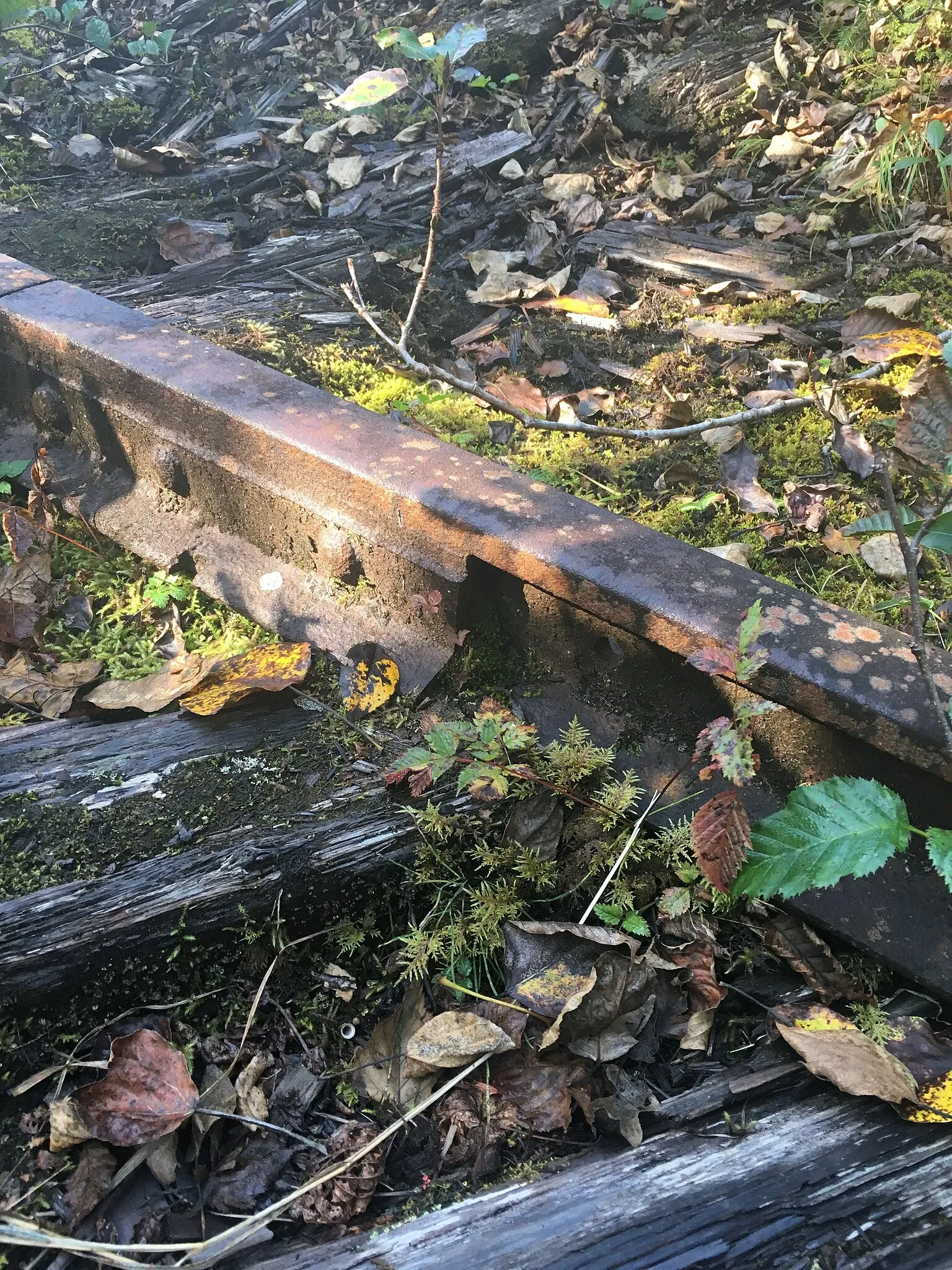 Last Chance Mining Museum