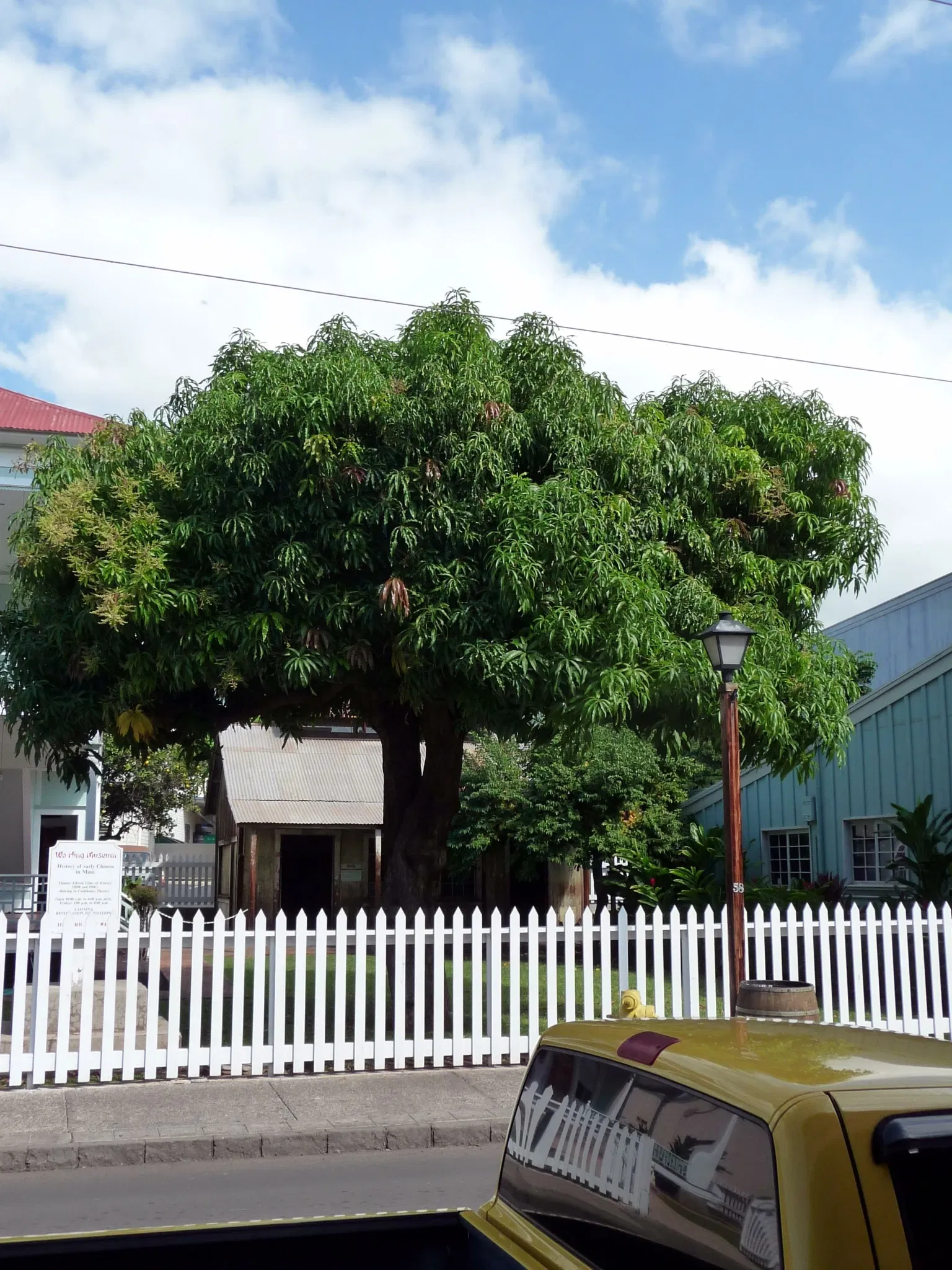 Wo Hing Temple Museum