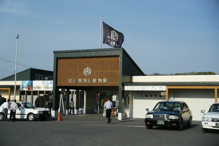 Asahiyama Zoo