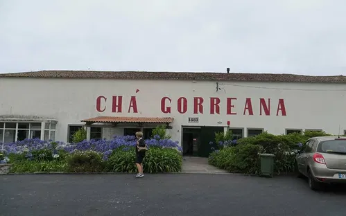 Gorreana Tea Factory