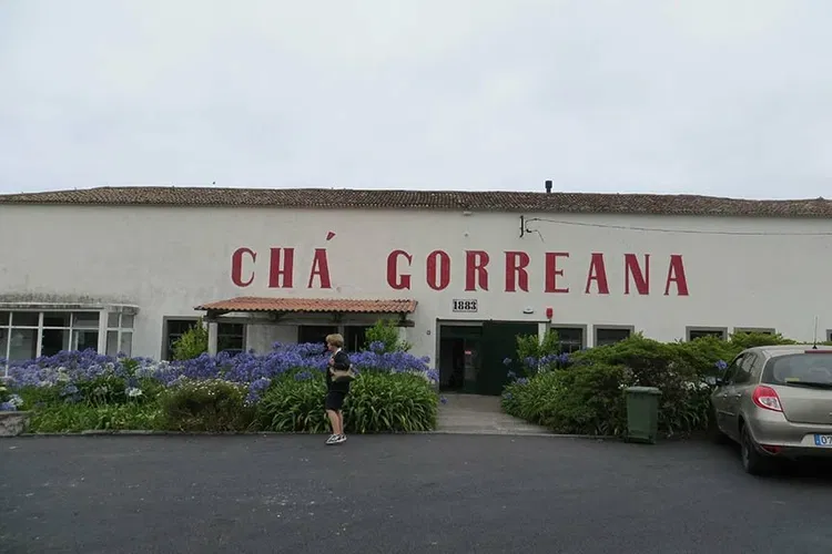 Gorreana Tea Factory