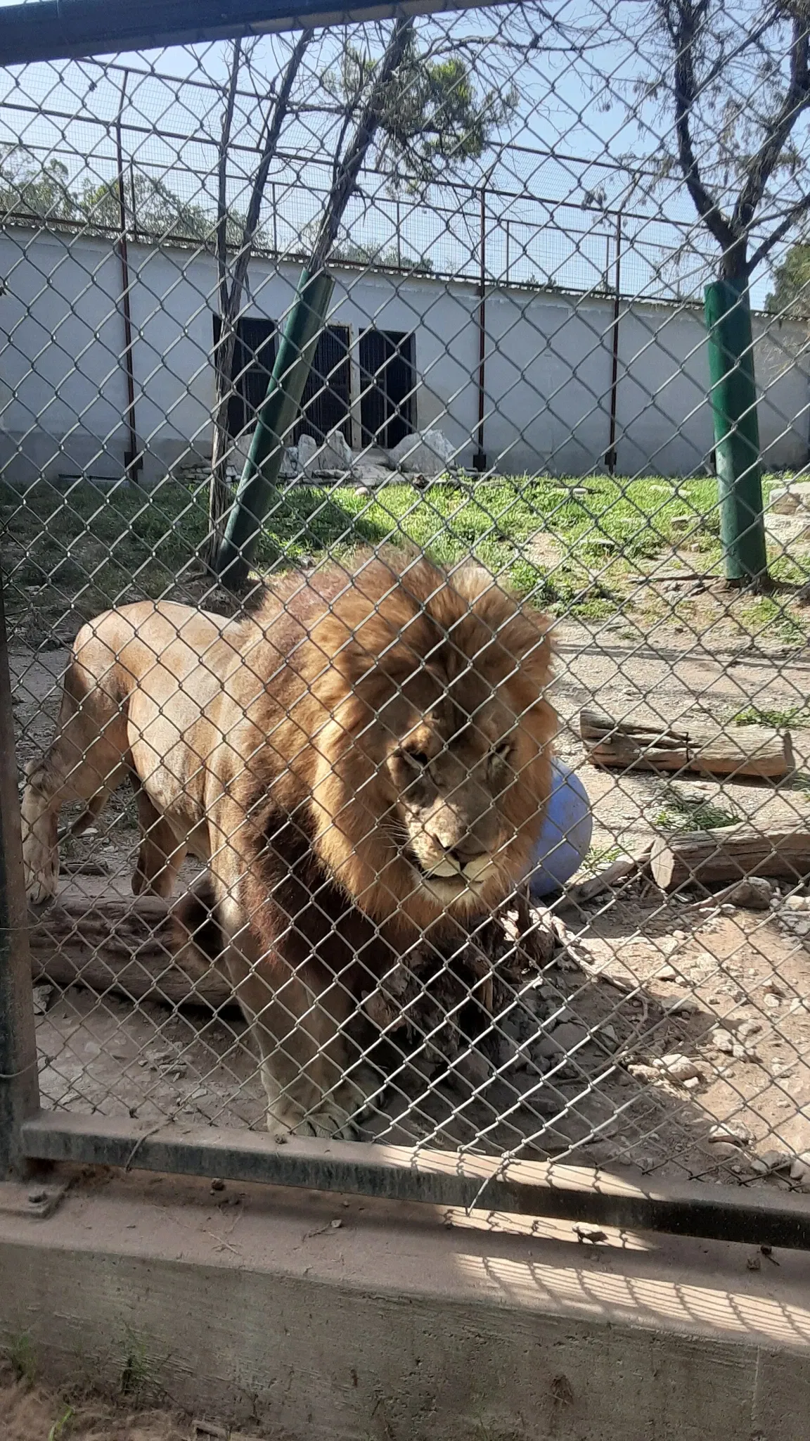 Austin Zoo