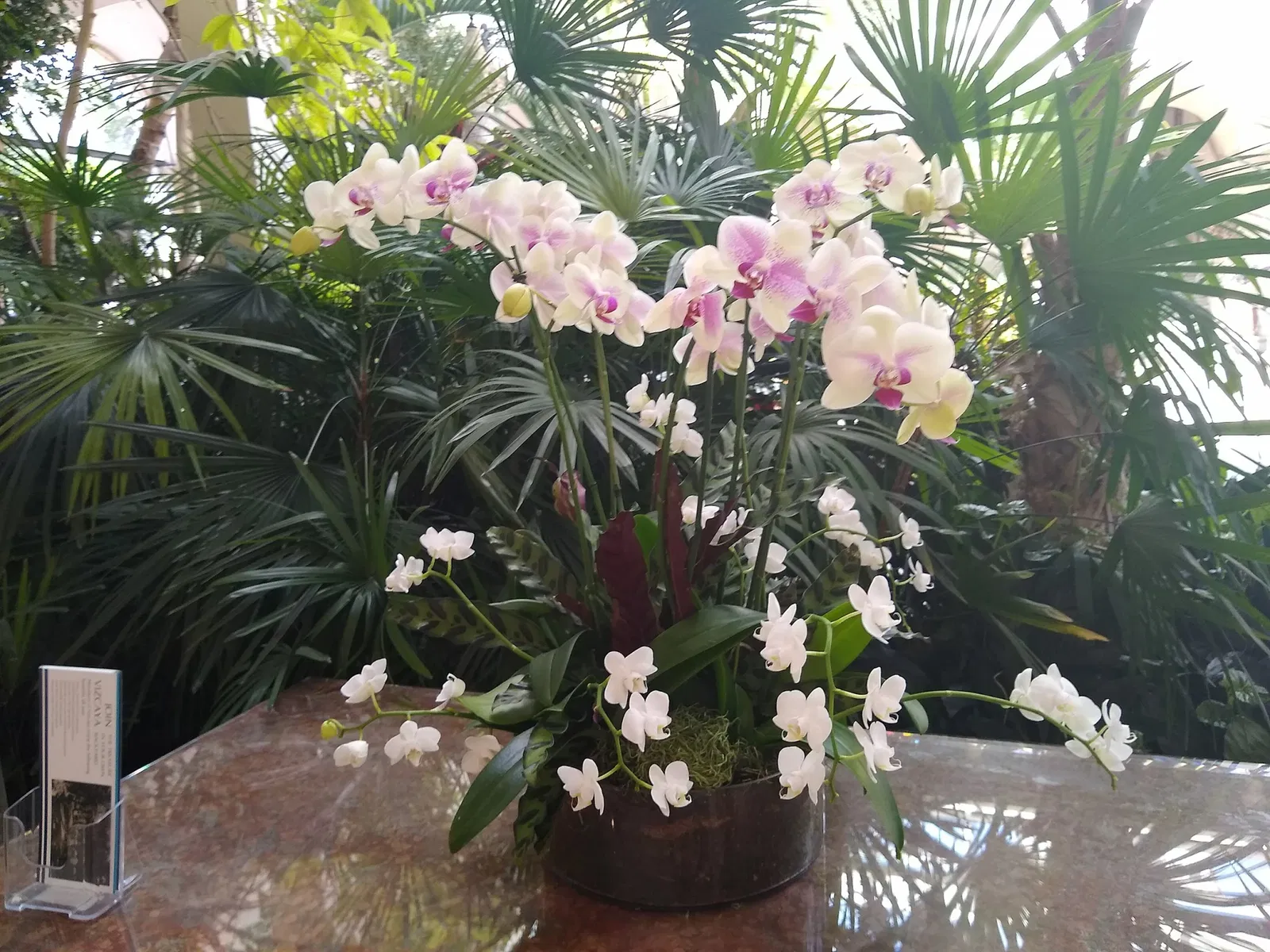 Vizcaya Museum and Gardens