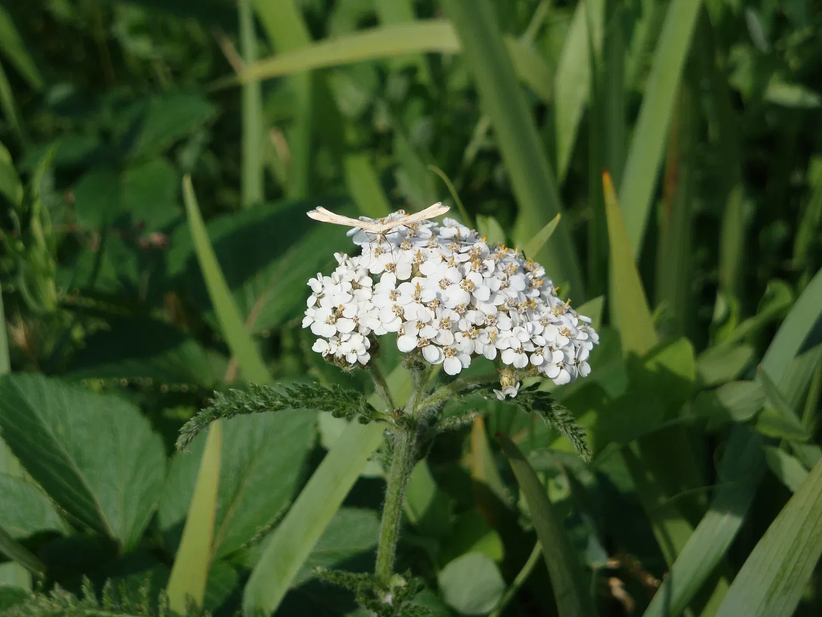 Klondike Gold Rush National Historical Park