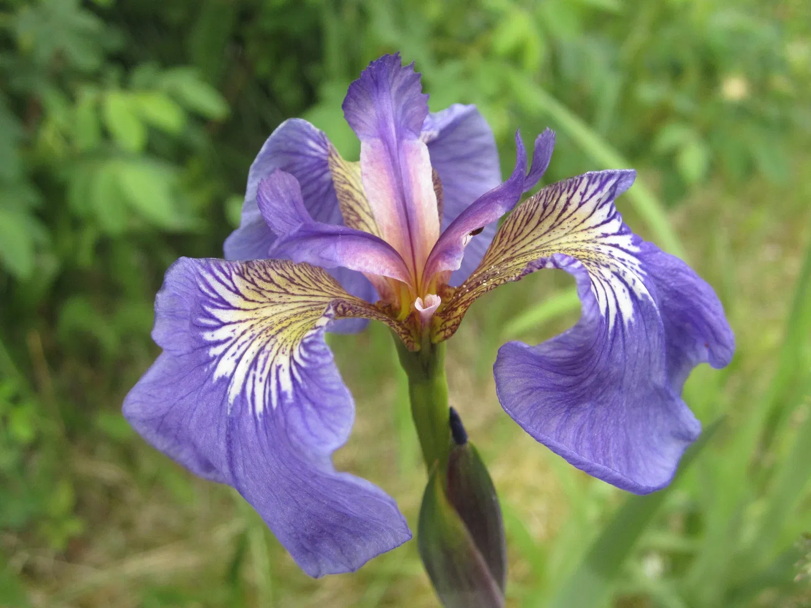 Klondike Gold Rush National Historical Park