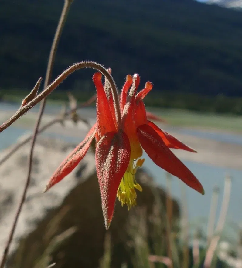 Klondike Gold Rush National Historical Park
