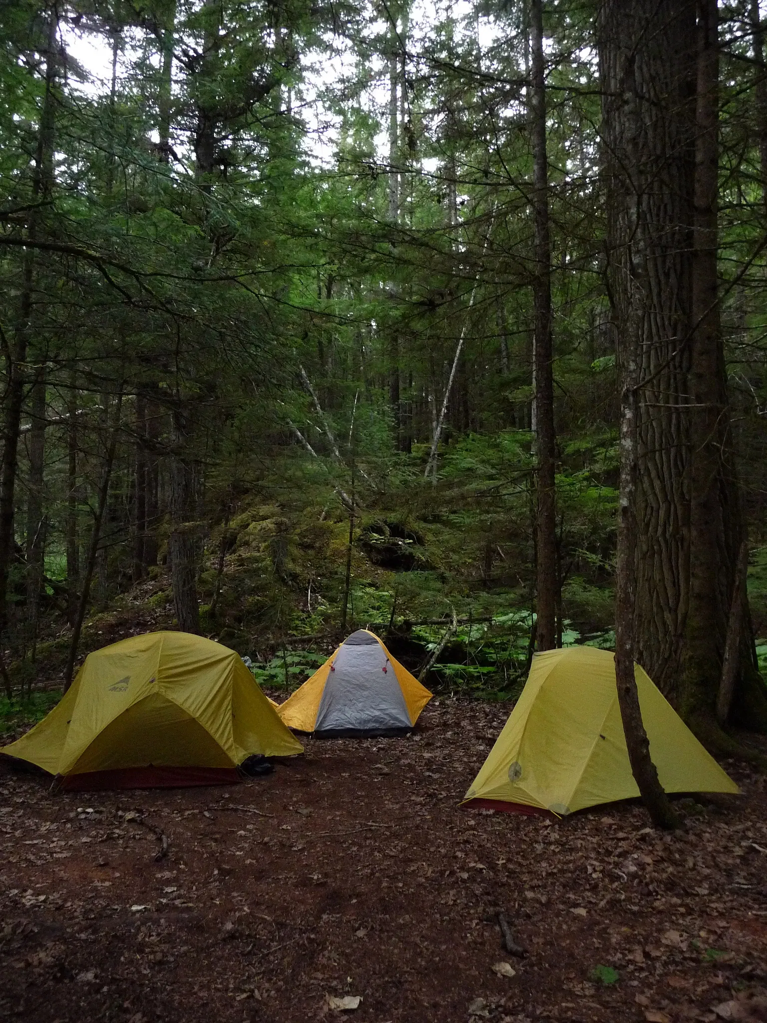 Klondike Gold Rush National Historical Park