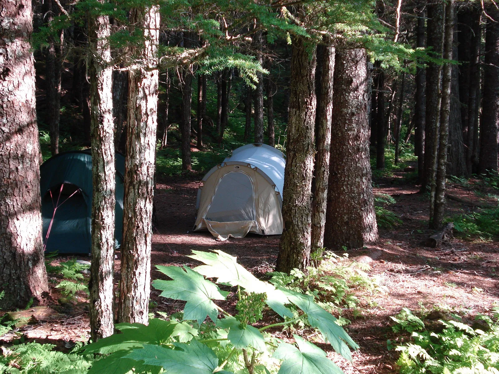 Klondike Gold Rush National Historical Park
