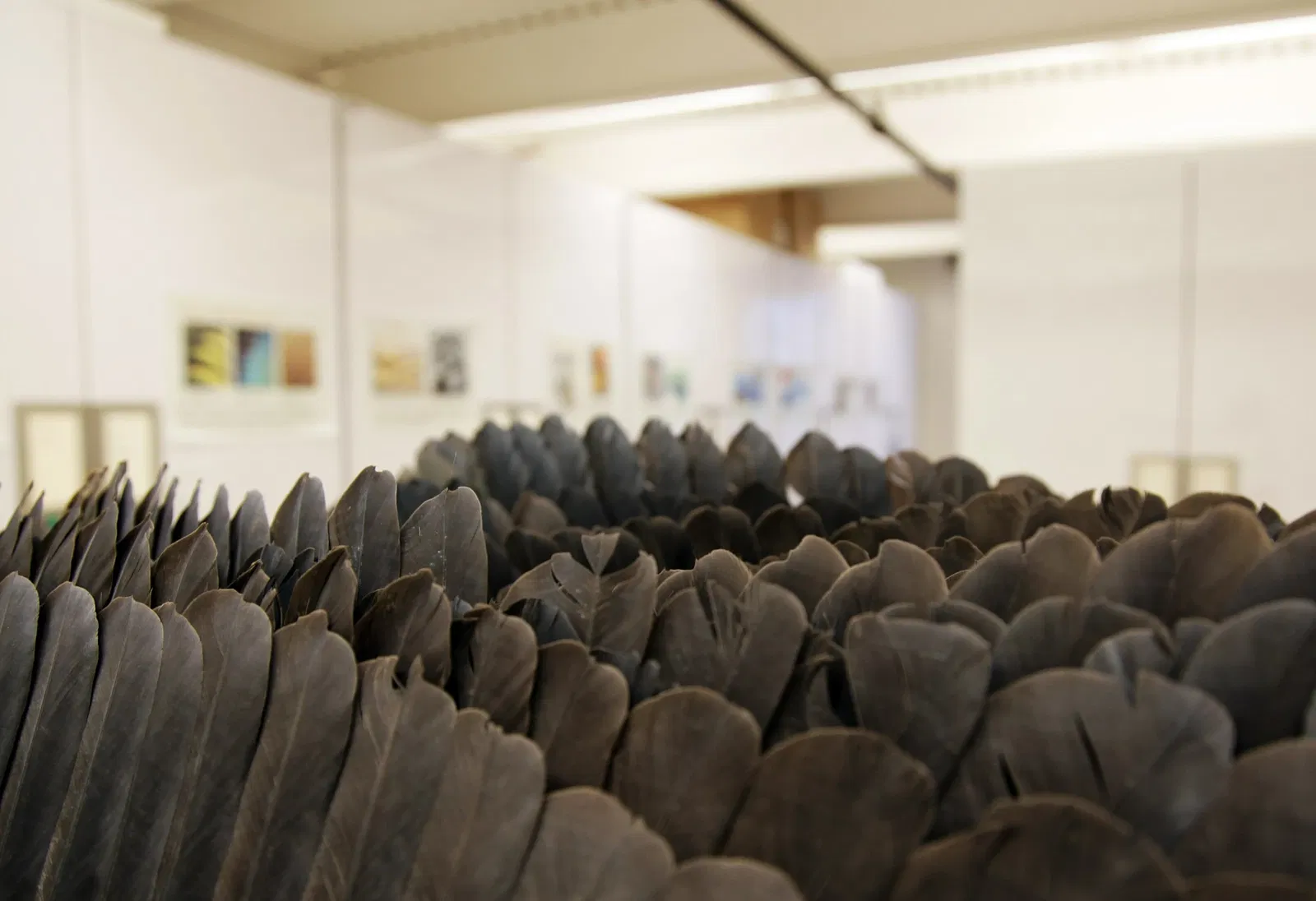 Burke Museum of Natural History and Culture