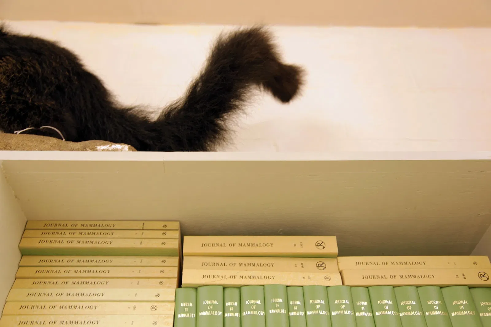 Burke Museum of Natural History and Culture