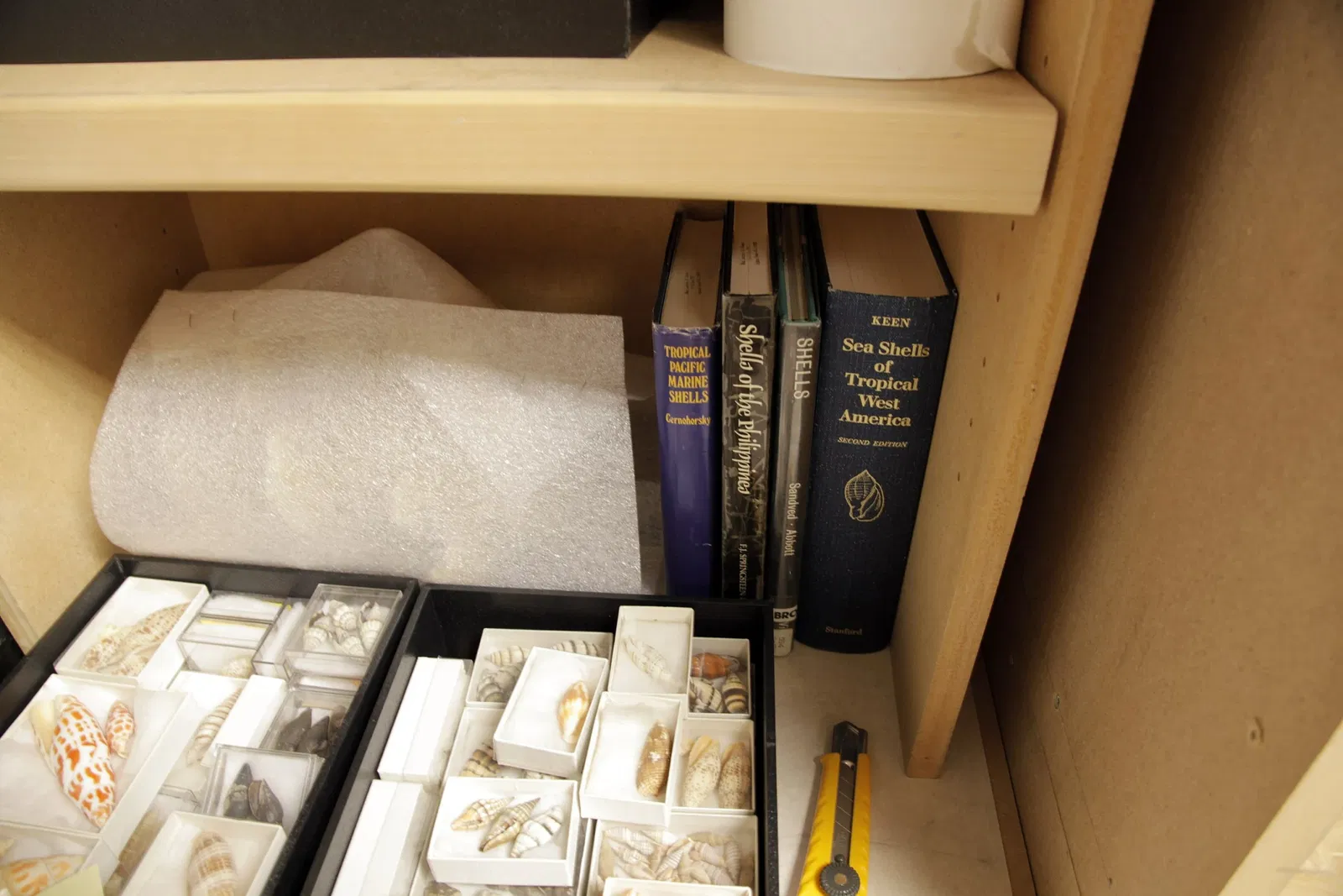 Musée Burke d'histoire naturelle et de culture