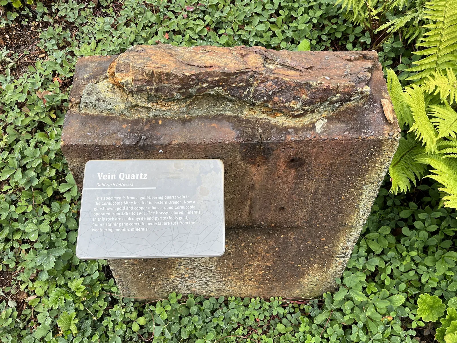 Burke Museum of Natural History and Culture