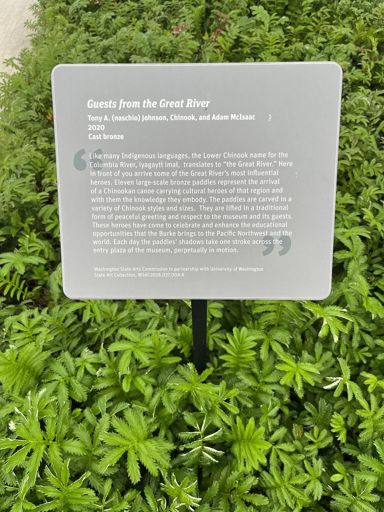 Musée Burke d'histoire naturelle et de culture