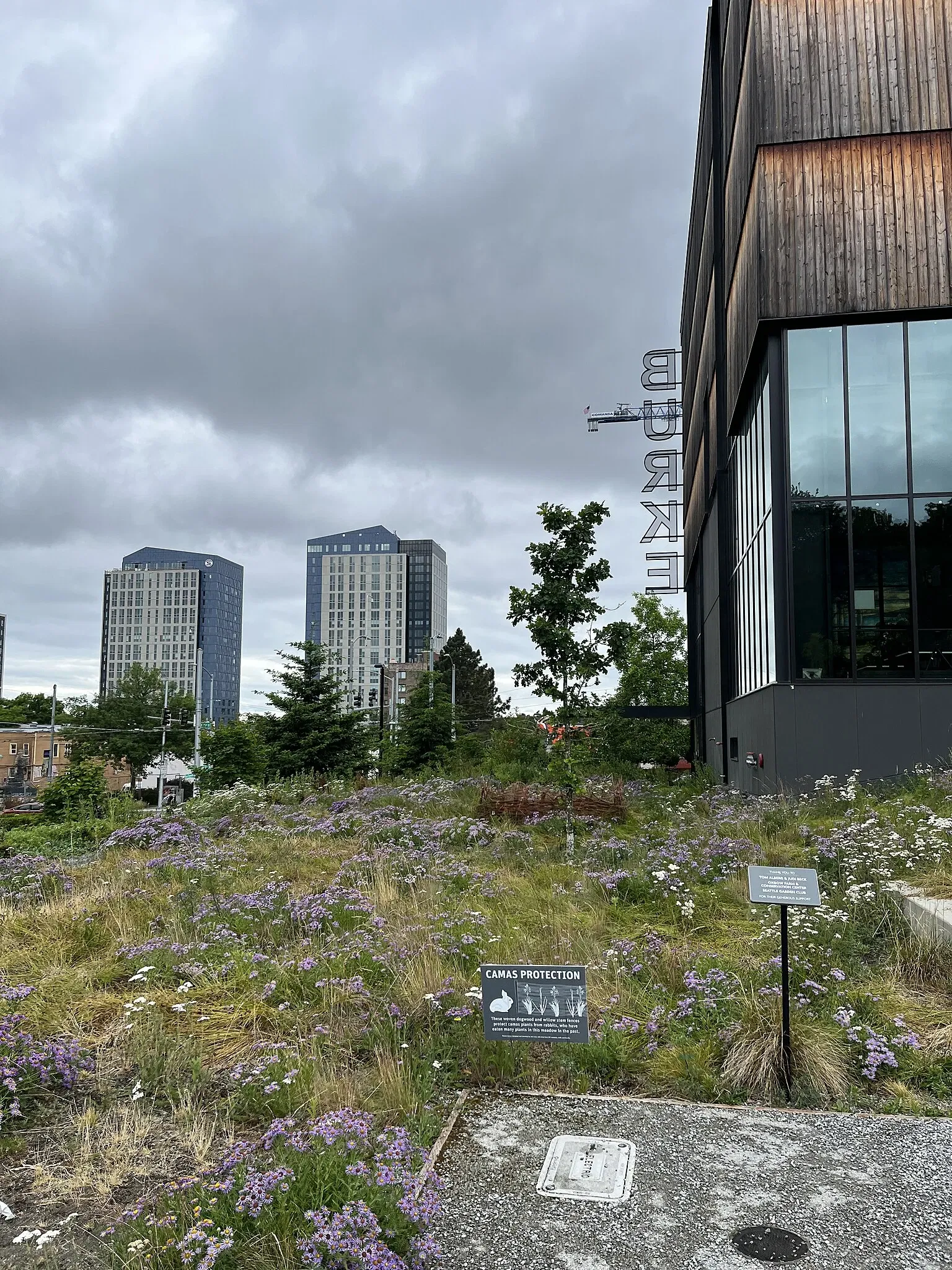 Musée Burke d'histoire naturelle et de culture