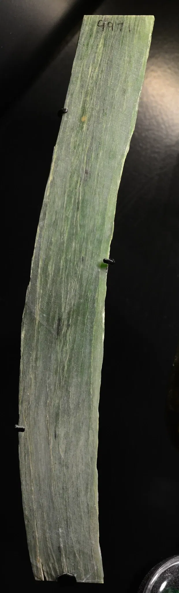 Musée Burke d'histoire naturelle et de culture