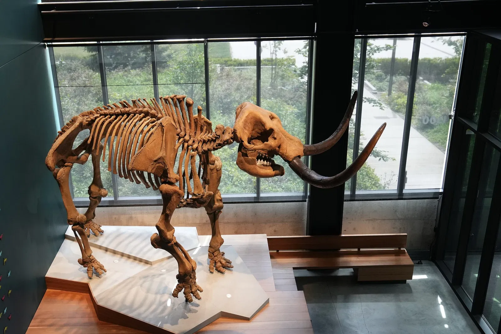 Musée Burke d'histoire naturelle et de culture