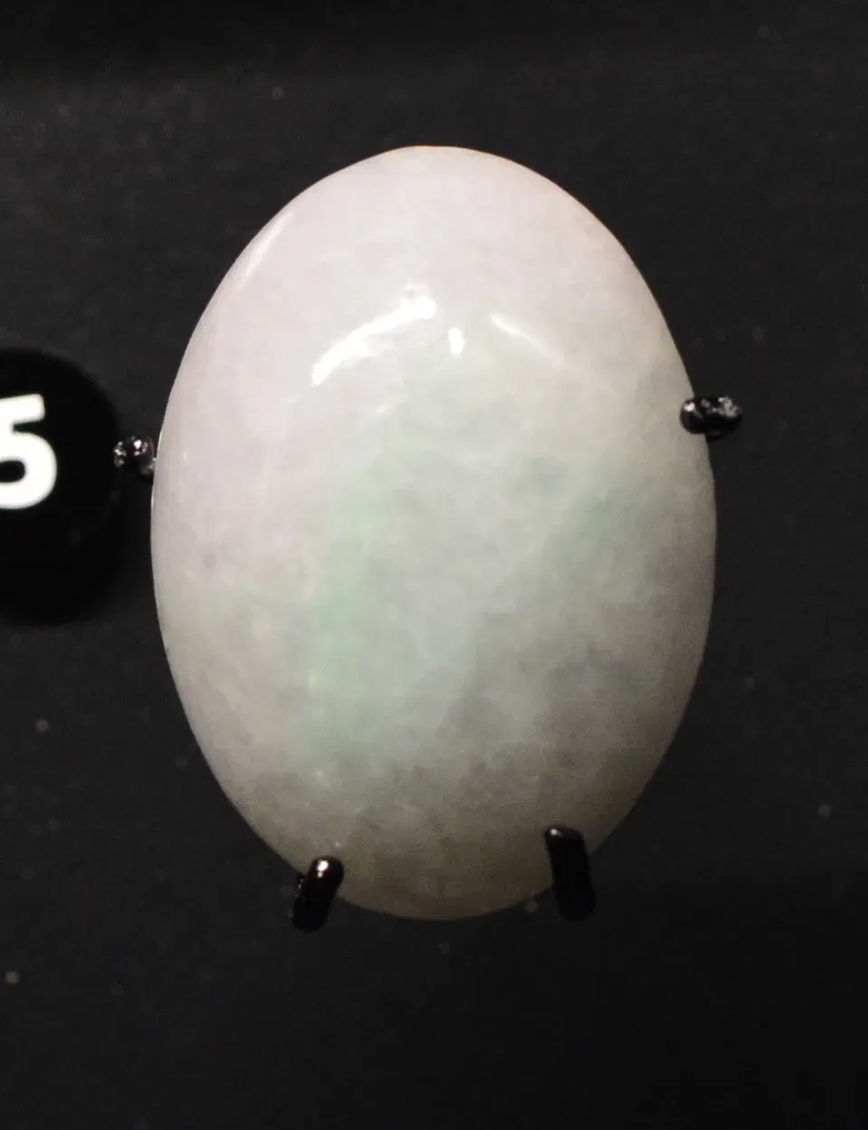 Musée Burke d'histoire naturelle et de culture