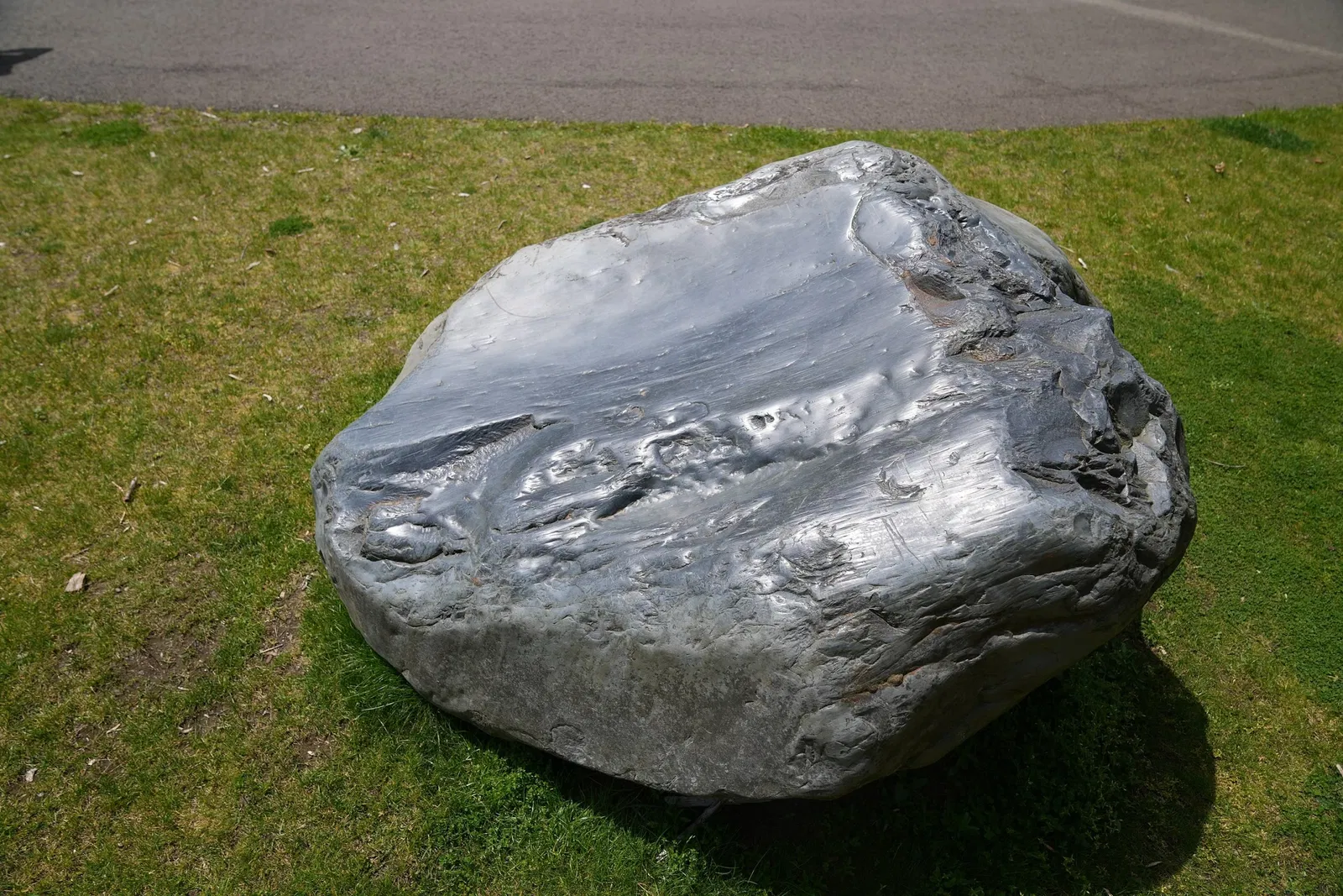 Musée Burke d'histoire naturelle et de culture
