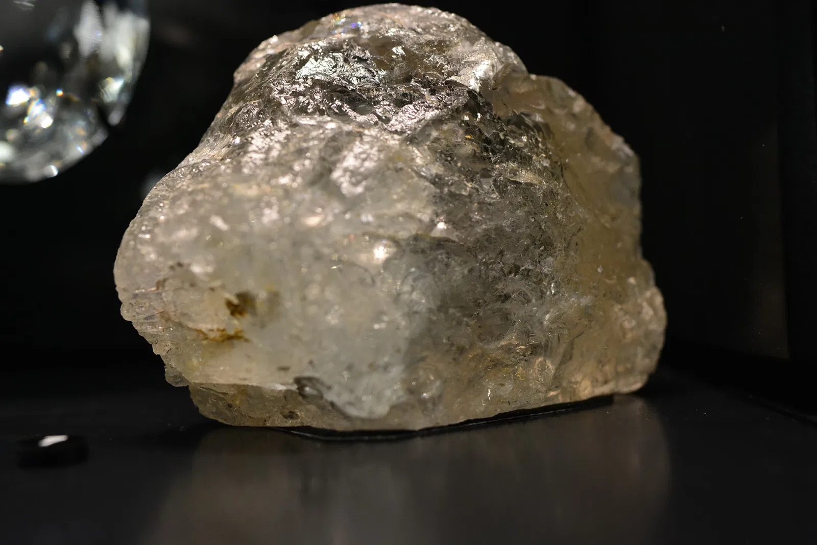 Burke Museum of Natural History and Culture