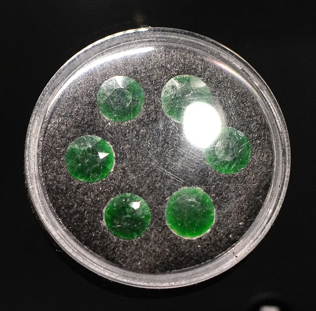 Musée Burke d'histoire naturelle et de culture