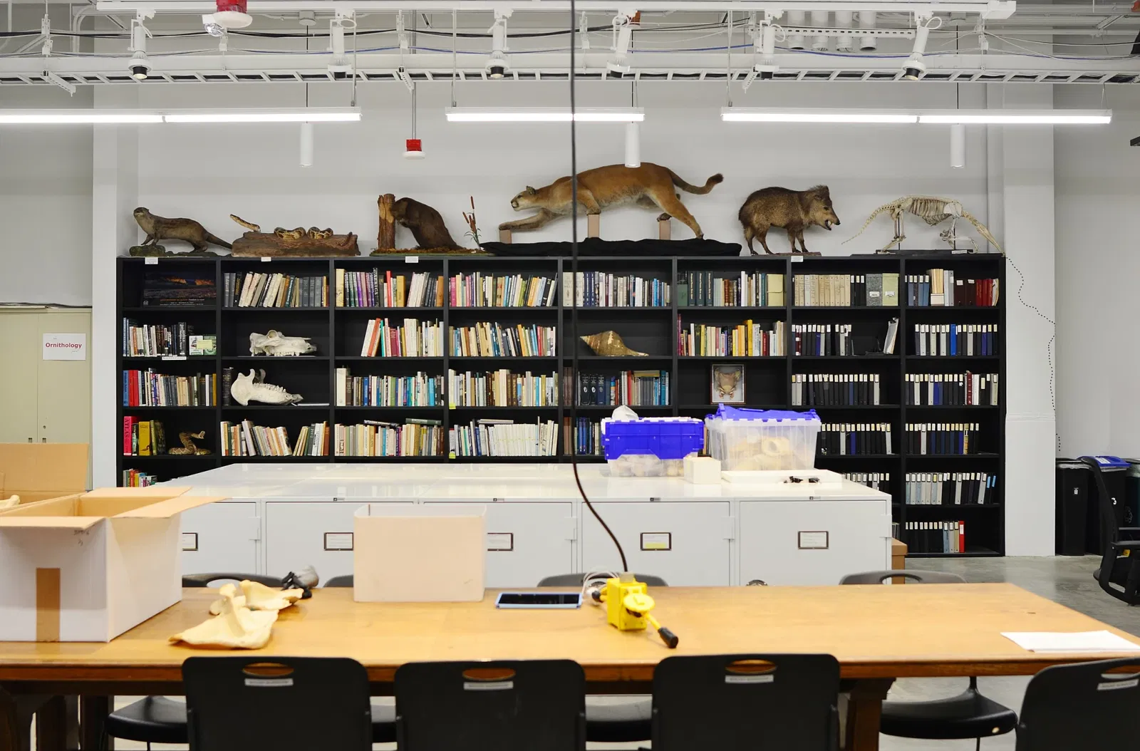 Musée Burke d'histoire naturelle et de culture