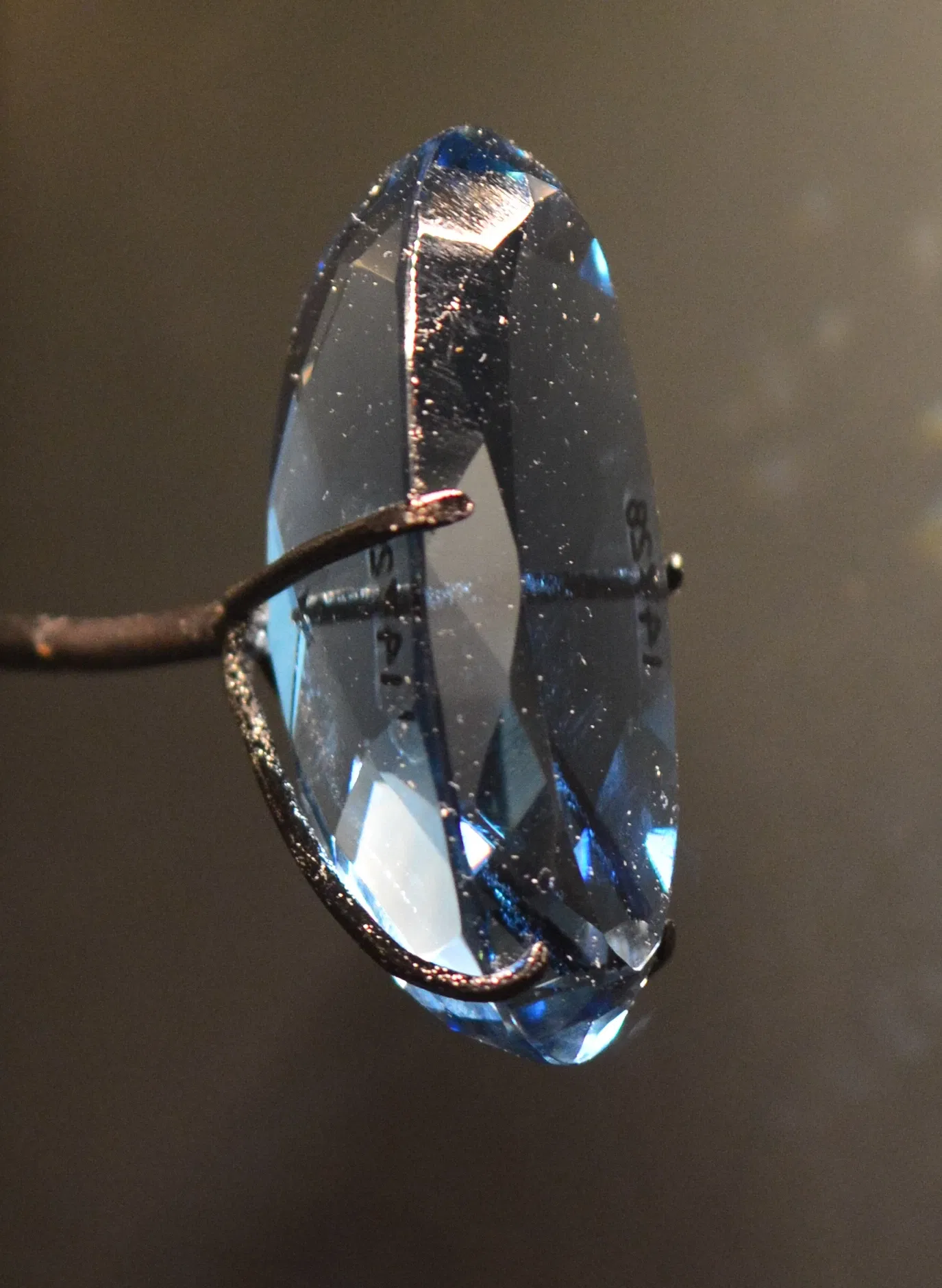 Musée Burke d'histoire naturelle et de culture