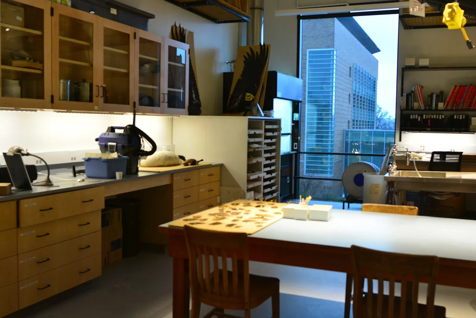 Musée Burke d'histoire naturelle et de culture