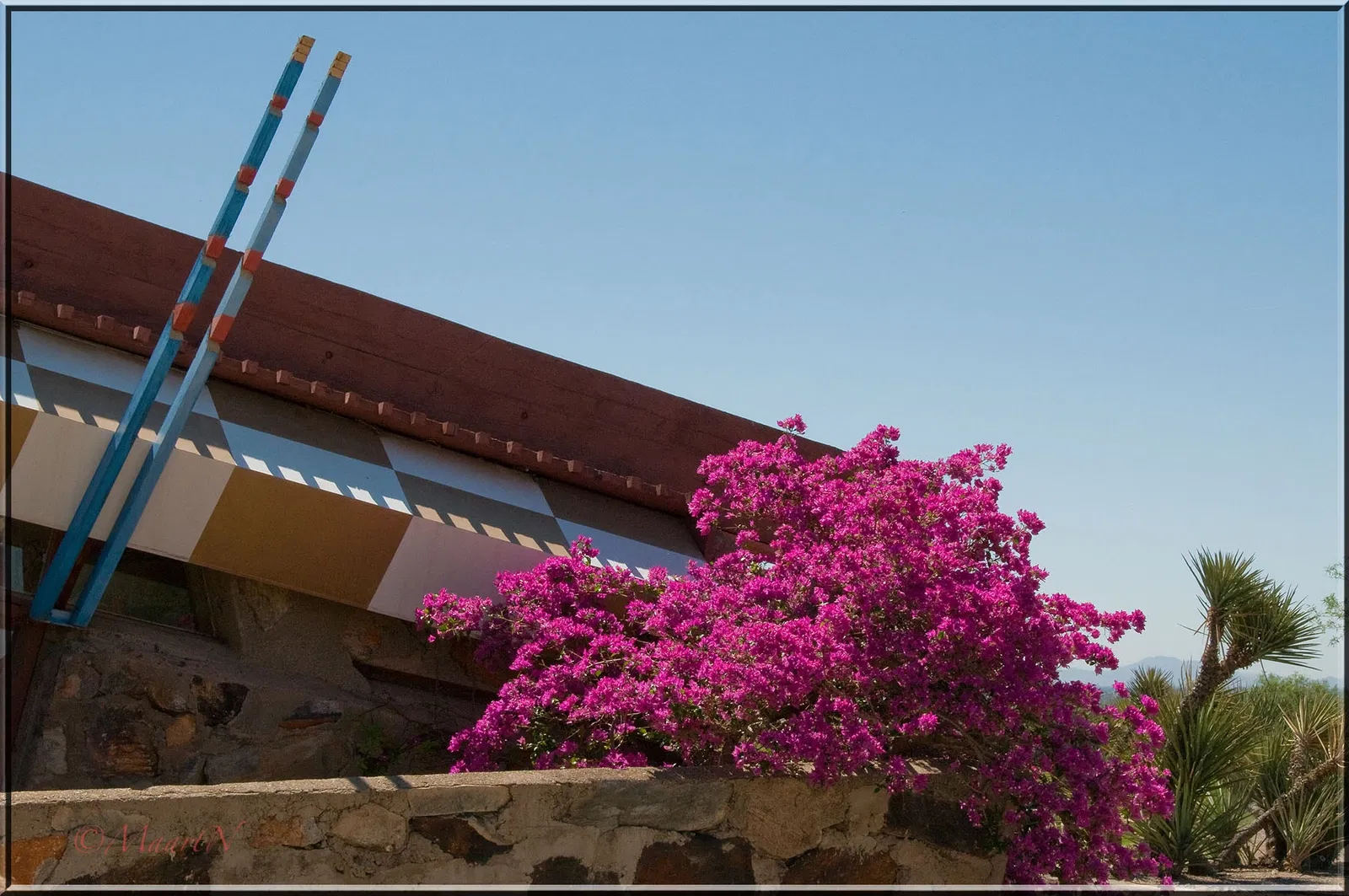 Taliesin West