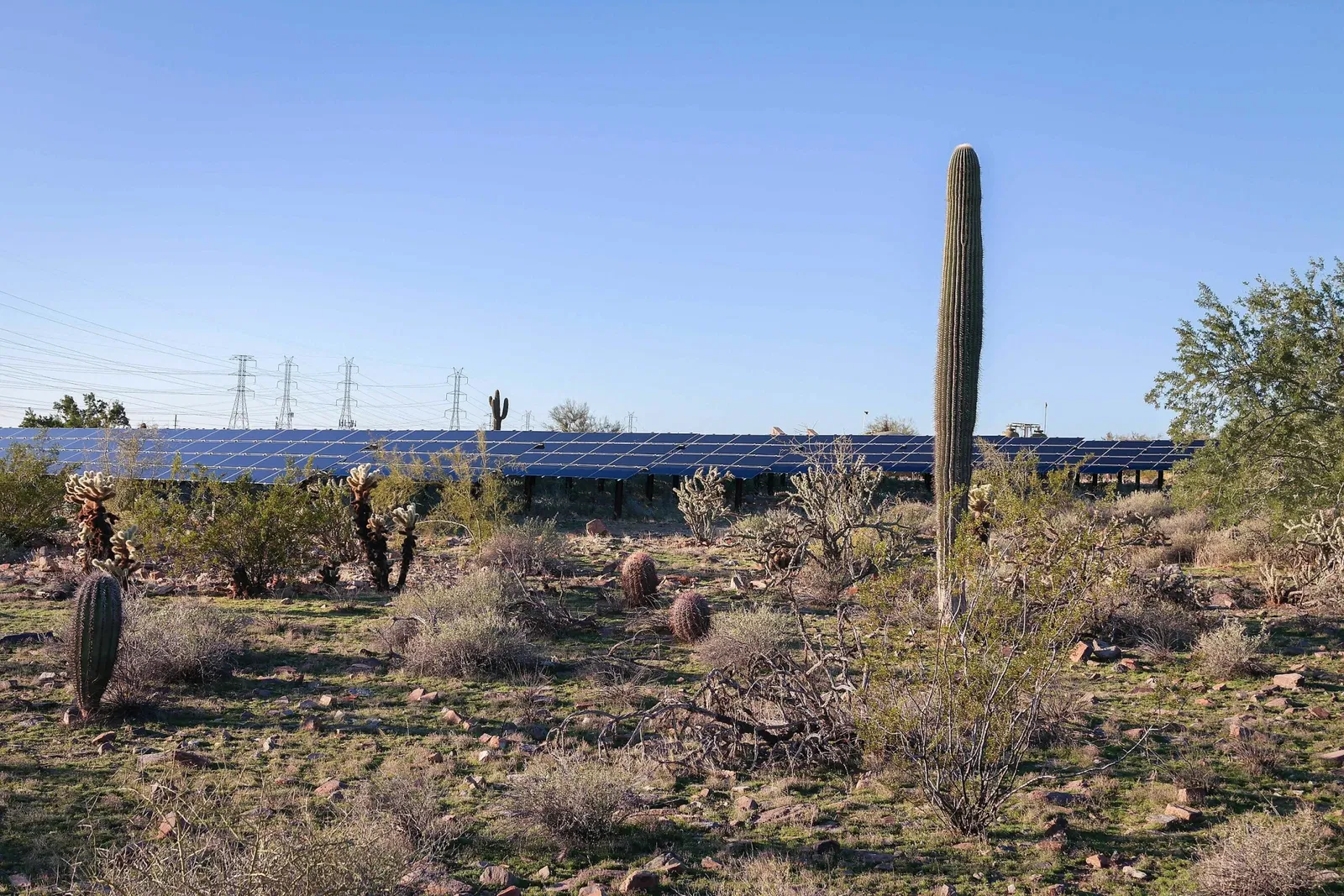 Taliesin West