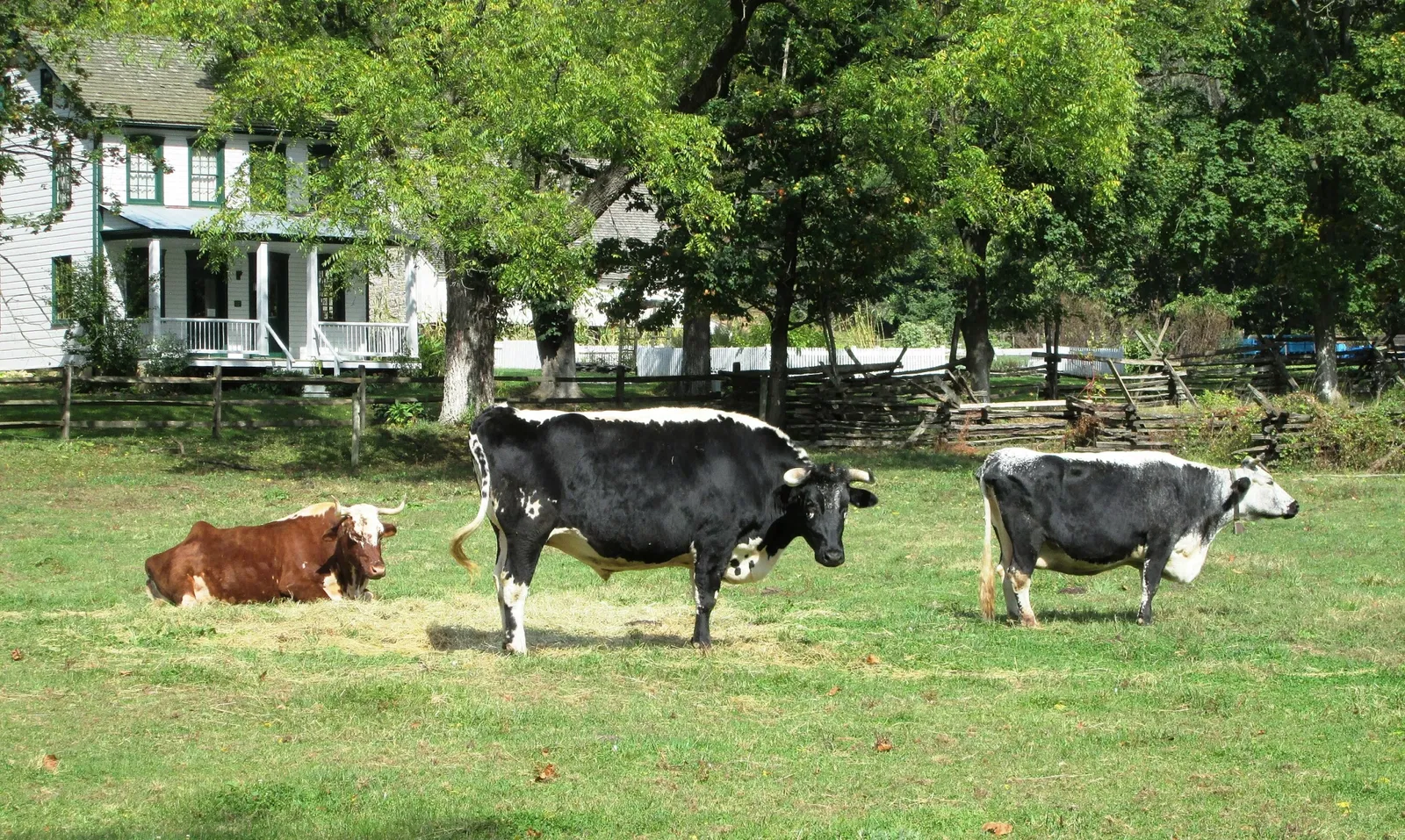 Landis Valley Museum