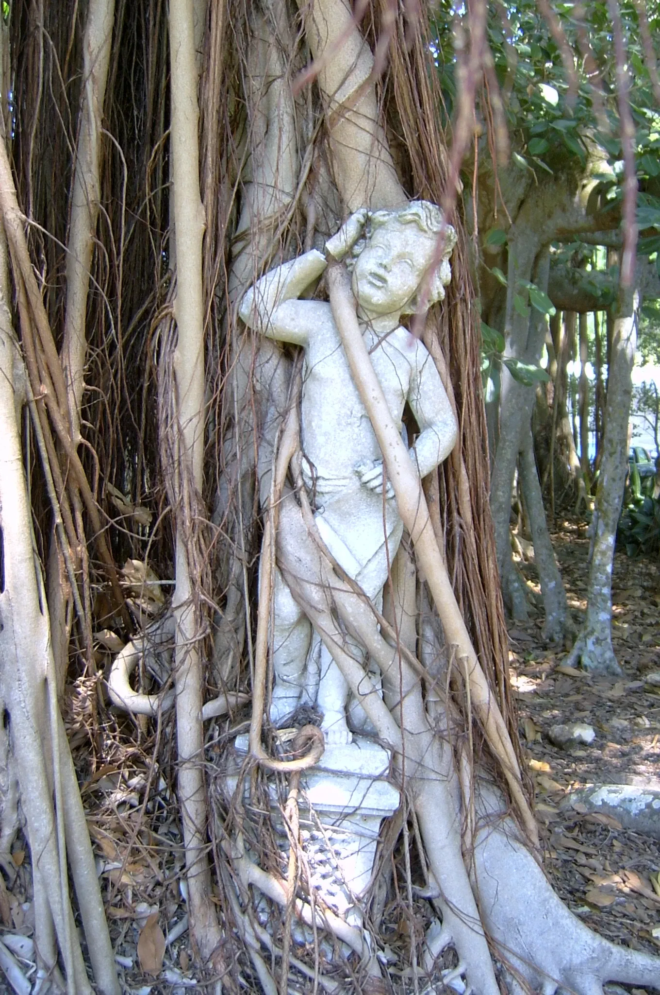 John and Mable Ringling Museum of Art