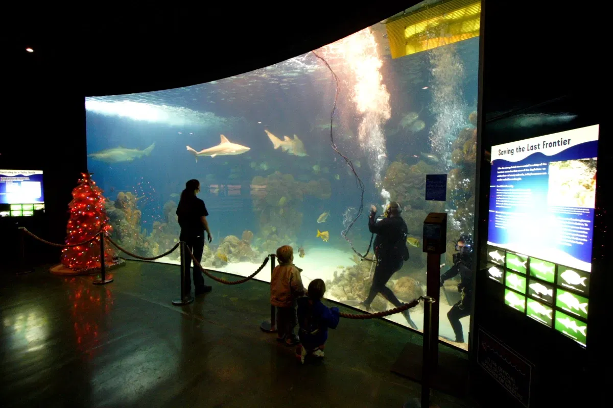 Wonders of Wildlife Museum & Aquarium