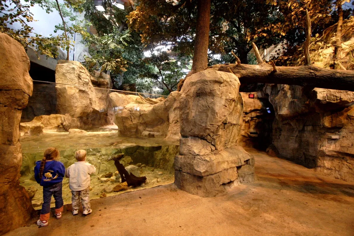 Wonders Of Wildlife National Museum & Aquarium