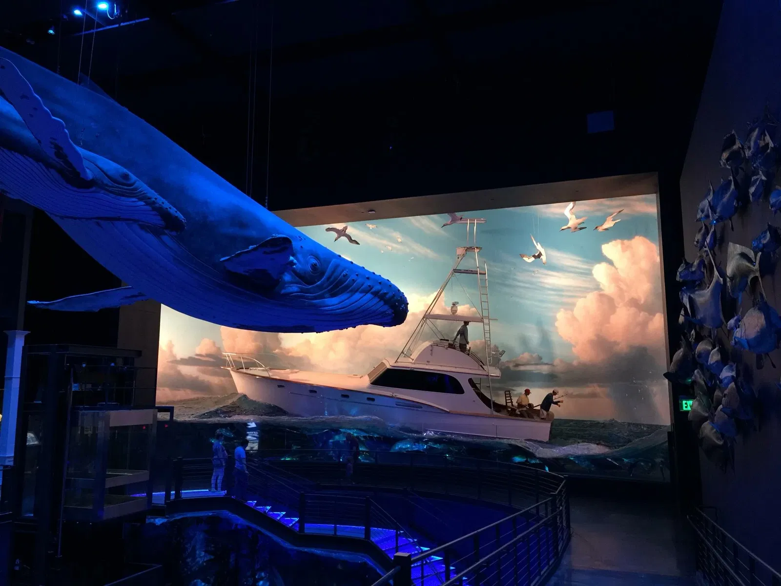 Wonders Of Wildlife National Museum & Aquarium