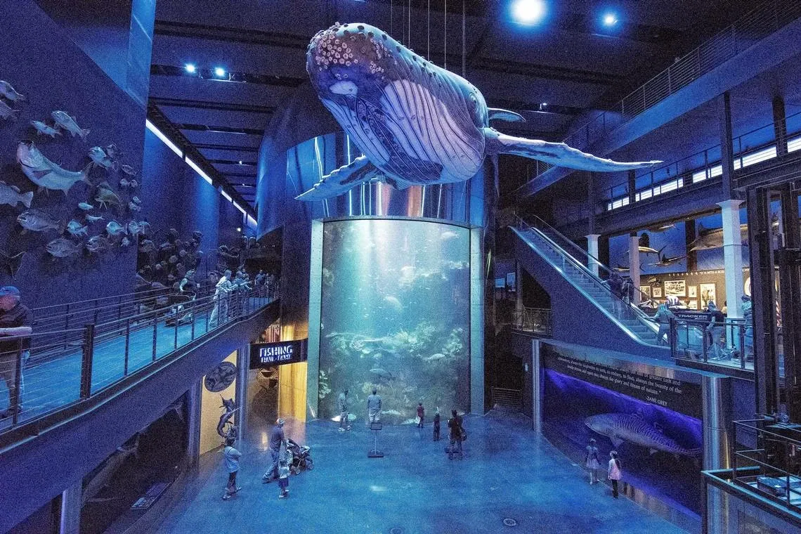 Wonders of Wildlife Museum & Aquarium