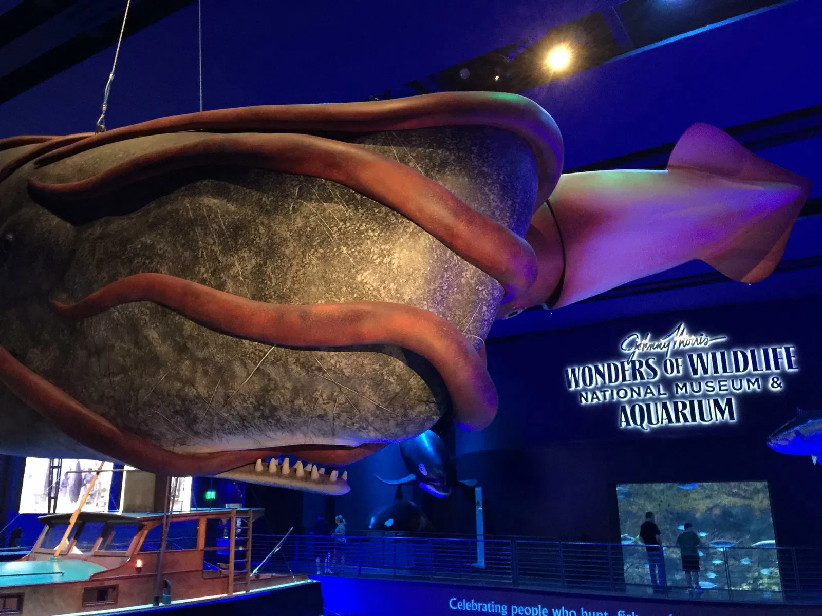 Wonders Of Wildlife National Museum & Aquarium