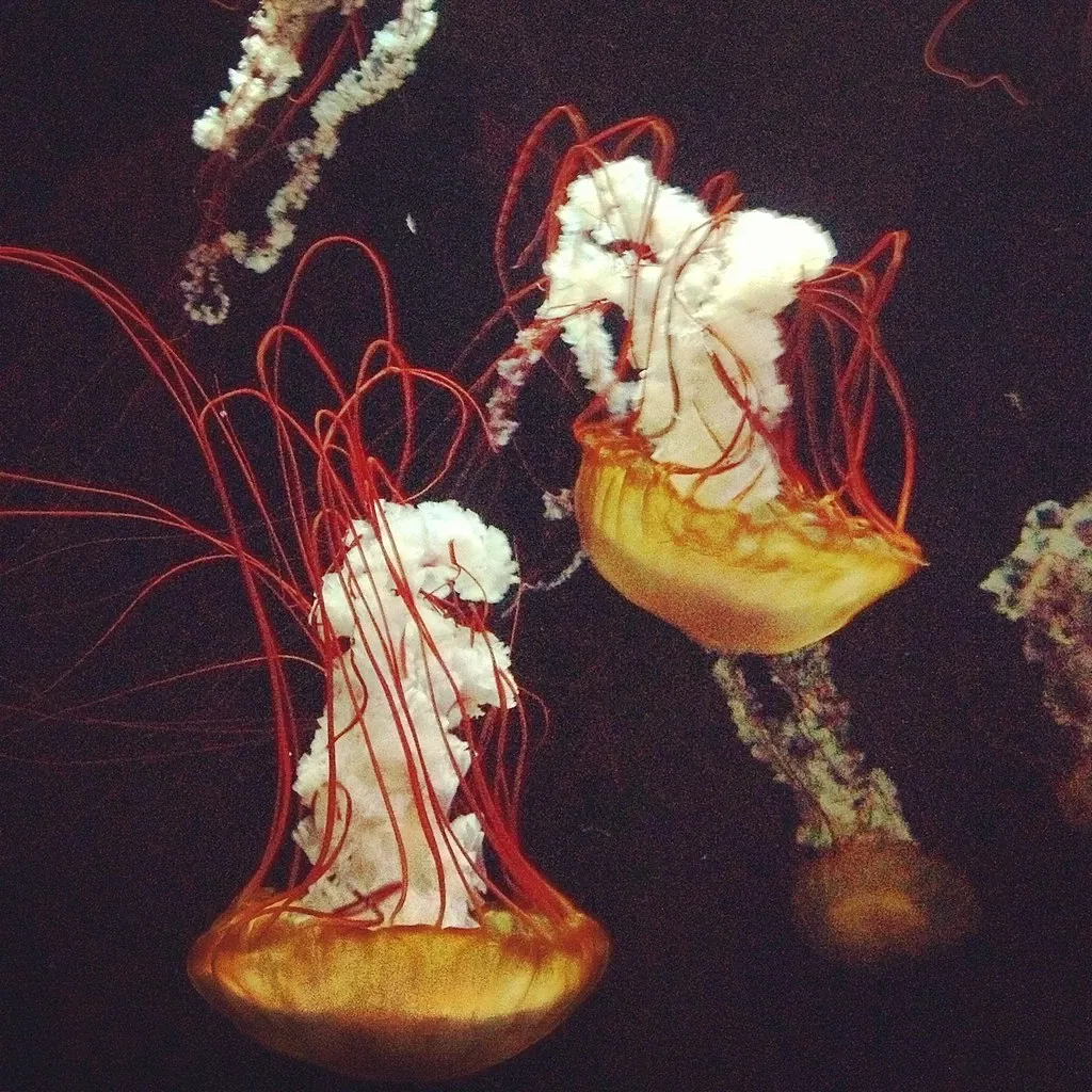 Fort Wayne Children's Zoo