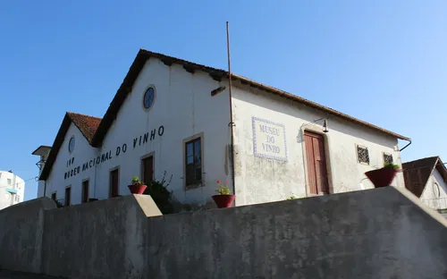 Museu do Vinho de Alcobaça