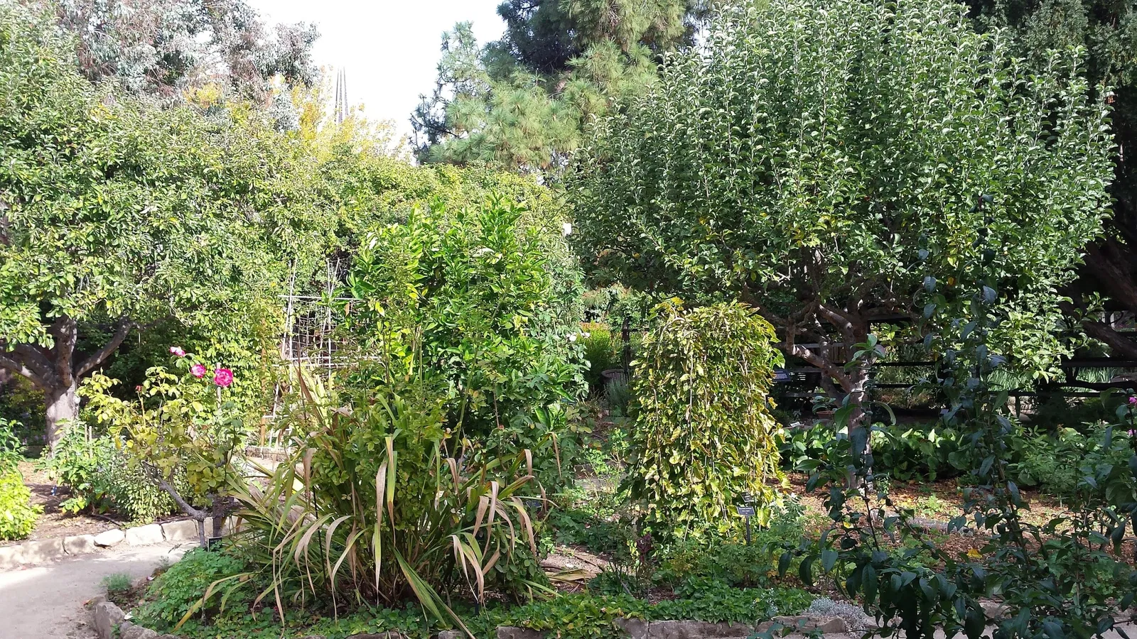 Museum of American Heritage