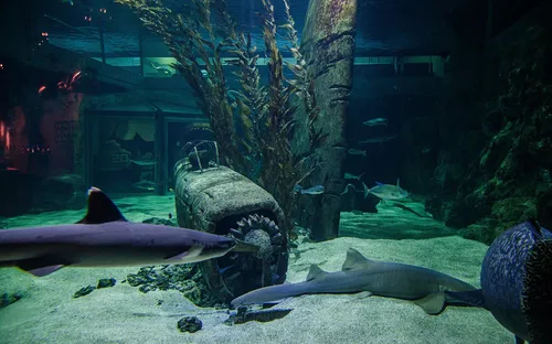 Seaquarium Institut Marin