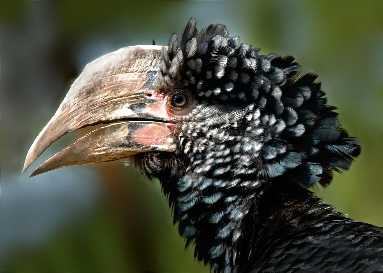 Central Florida Zoo and Botanical Gardens