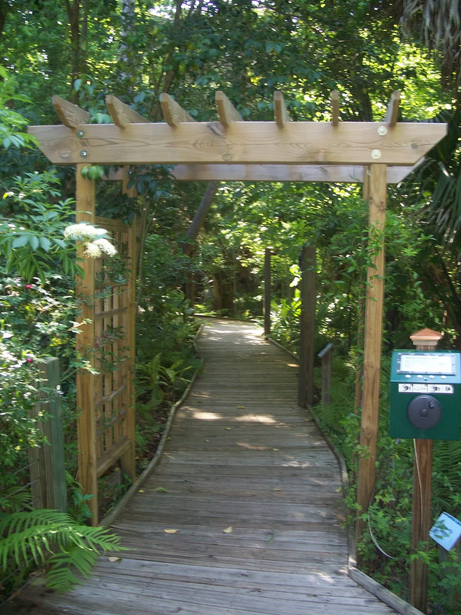 Museo de las Artes y las Ciencias (Daytona Beach)